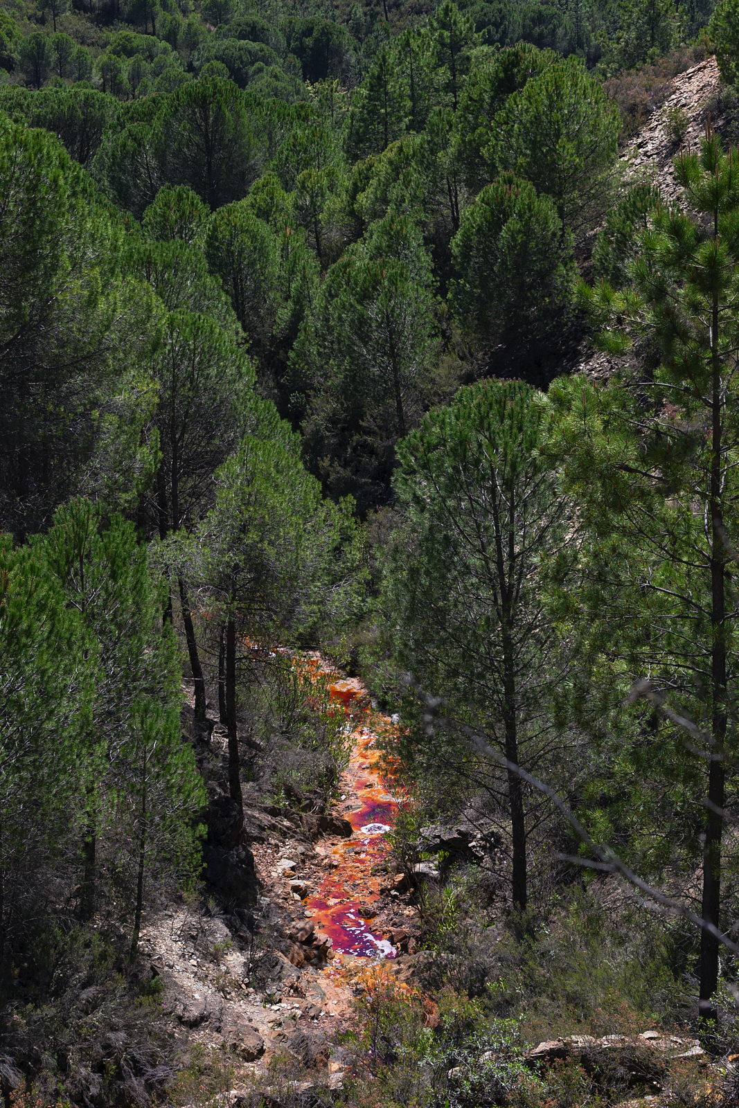 Minas de Riotinto